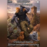 Владимир Стрельников. Страшный прапор. Долгая интересная прогулка.