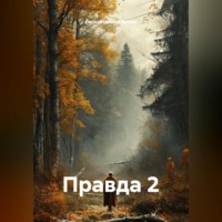 Гилязитдинов Сергеевич Артём. Правда 2