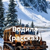 Андрей Андреевич Томилов. Водила (рассказ)