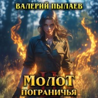 Валерий Пылаев. Молот Пограничья. Книга II
