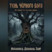 Мохаммед Гамаль Хайр. Тень Чёрного Бора
