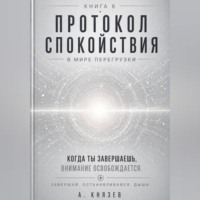 Александр Князев. Протокол спокойствия в мире перегрузки