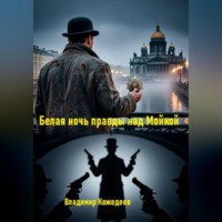 Владимир Кожедеев. Белая ночь правды над Мойкой