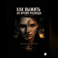 Дмитрий Владимирский. Как выжить во время развода