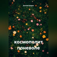 Василий Шадрин. космополит поневоле