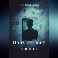 Пётр Фарфудинов. По ту сторону закона