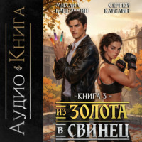 Сергей Карелин. Из золота в свинец 3