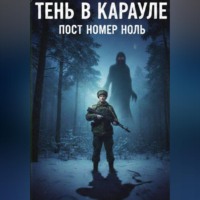 . Тень в карауле