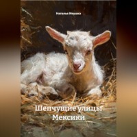 . Шепчущие улицы Мексики