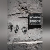 Рейн Скай. Ночной сторож