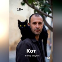 Виктор Безумов. Кот