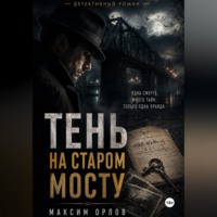 . Тень на старом мосту