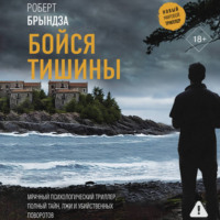 Роберт Брындза. Бойся тишины