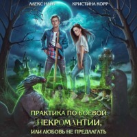 Алекс Найт. Практика по боевой некромантии
