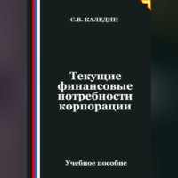 Сергей Каледин. Текущие финансовые потребности корпорации