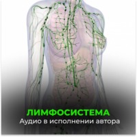 . Лимфосистема