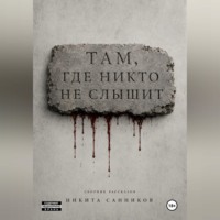 Никита Санников. Там, где никто не слышит