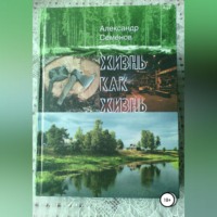Александр Арсентьевич Семенов. Жизнь как жизнь