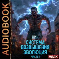 Кин. Система Возвышения. Книга 3. Эволюция. Часть 1