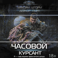 Максим Шторм. Часовой. Курсант