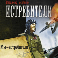 Владимир Поселягин. Мы – истребители