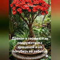 . Дракон в горшке. Как подружиться с драценой и не погубить её заботой