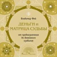 Владимир Фей. Деньги и Матрица судьбы. От предназначения до денежного изобилия