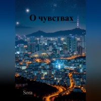 Sora. О чувствах