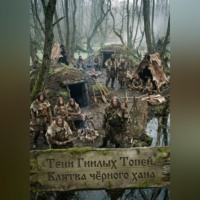 Дамир Янсуфин. Тени Гнилых Топей. Клятва чёрного хана
