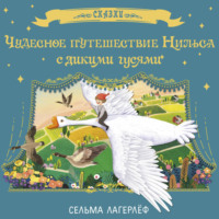 Сельма Лагерлёф. Чудесное путешествие Нильса с дикими гусями