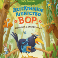 Ольга Рыбкина. Детективное агентство «ВОР…». Раскрываем 8 запутанных дел