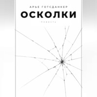 Арье Готсданкер. Осколки