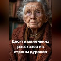 Владимир Александрович Сачков. Десять маленьких рассказоа из страны дураков