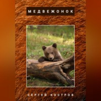 Сергей Костров. Медвежонок