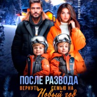 Алла Ларина. После развода. Вернуть семью на Новый год