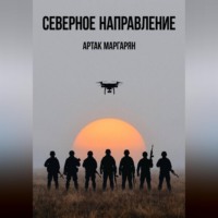 . СЕВЕРЕРНОЕ НАПРАВЛЕНИЕ