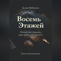 Залим Шибзухов. Восемь этажей