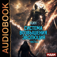 Кин. Система Возвышения. Книга 3. Эволюция. Часть 2