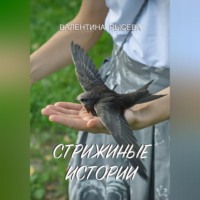 Валентина Рысева. Стрижиные истории