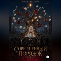Козлов Илья. Совершенный порядок