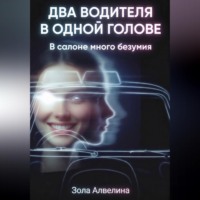Зола Алвелина. Два водителя в одной голове. В салоне много безумия