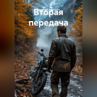 Владимир Кошечкин. Вторая передача