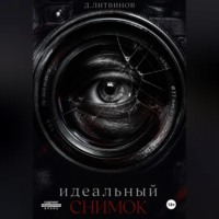 Дмитрий Литвинов. Идеальный снимок