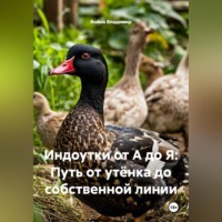. Индоутки от А до Я: Путь от утёнка до собственной линии