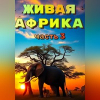Наталья Баркар. «Живая Африка» Часть 3