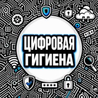 Анна Петровна Писаревская. Цифровая гигиена. Нескучный аудиокурс по личной кибербезопасности