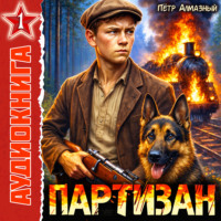 Петр Алмазный. Партизан 1941. Том 1