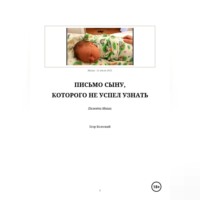 . ПИСЬМО СЫНУ, КОТОРОГО НЕ УСПЕЛ УЗНАТЬ