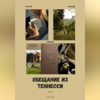 Ани Тюн. Обещание из Теннесси
