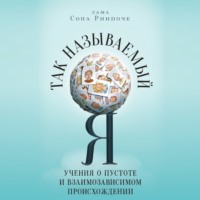 . Так называемый Я. Учения о пустоте и взаимозависимом происхождении